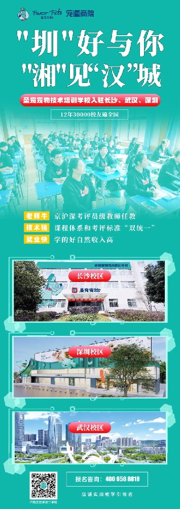 学校真容抢先看！圣宠再添三所新校区
