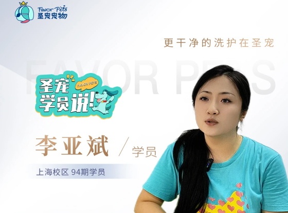 真·精英圆梦场丨跨界转行，在圣宠宠物找到人生新方向