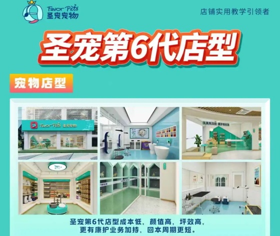 0基础怎么开宠物店？这份保姆级攻略请收好