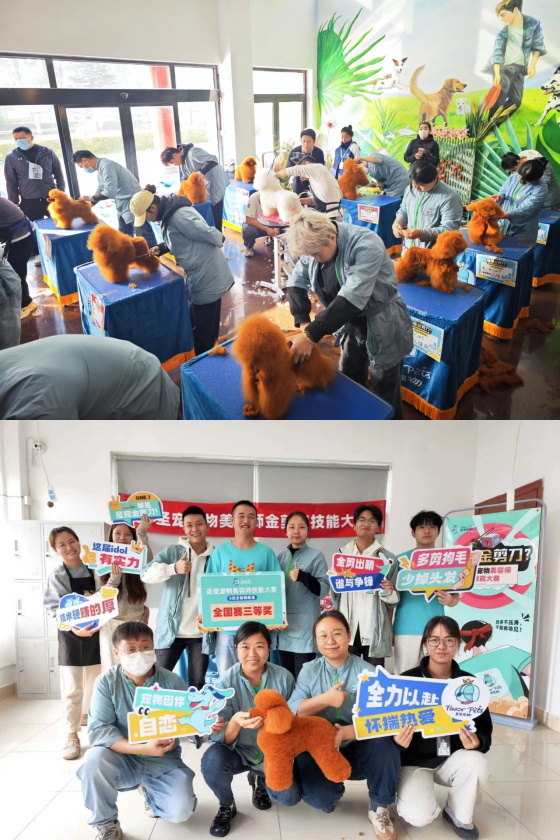 1761897172736704.jpg 0 (1).jpg