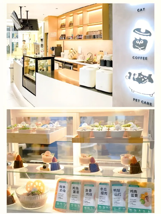 1762415863141396.jpg 640.jpg