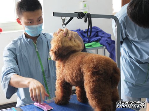 44期美容班综合美容实操课