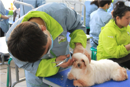 51期美容班综合美容实操课