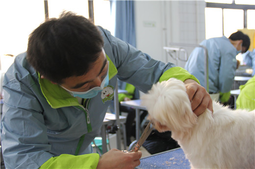 51期美容班综合美容实操课